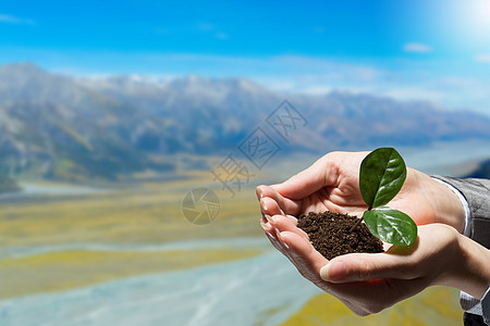 关心大自然女商人的手小心翼翼地握着土壤中的绿色芽图片