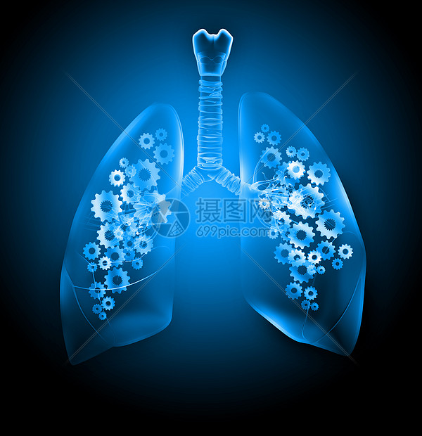 人类的肺机制的人肺健康医学图片