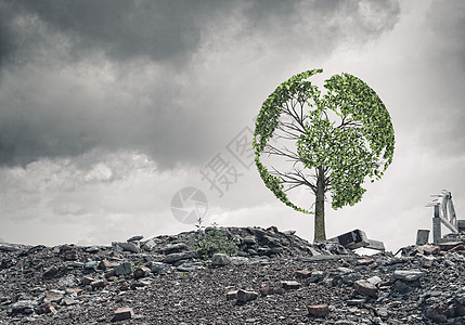 绿色的树站废墟上的绿树的形象图片