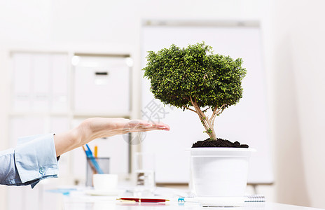 越来越成功人的手植物锅里背景图片