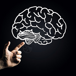 大脑思考人类的头脑人类的手用手指指向大脑图标背景