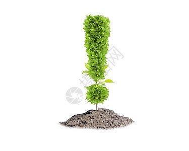 生态绿色植物,形状为感叹号绿色植物图片