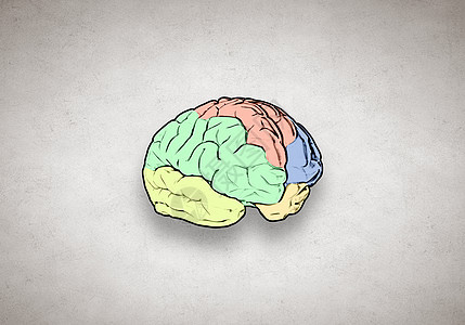创造思维白背景下人脑商业理念策略的草图图片
