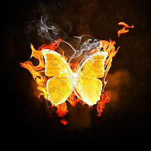 火焰中的蝴蝶火灾中燃烧蝴蝶的插图生态高清图片