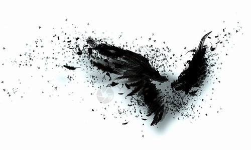 黑色的翅膀黑色翅膀光背景下的抽象图像图片