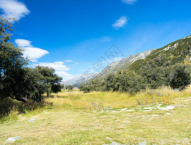 风景如画新西兰阿尔卑斯山草地的自然景观图片