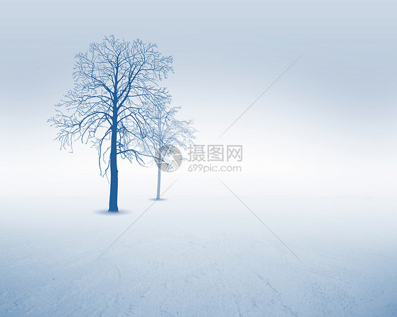 白色背景上白色雪树的图像图片