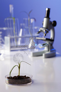 生物工程中的绿色植物科学设备图片
