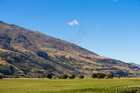 风景如画新西兰阿尔卑斯山草地的自然景观图片