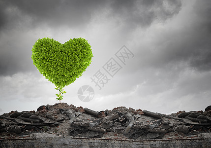 生态形象与绿色的心生长废墟上高清图片