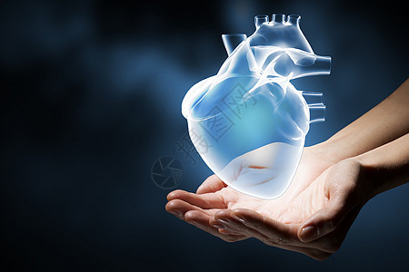 心脏护理的紧紧握住人类的手,握住人类的心图片