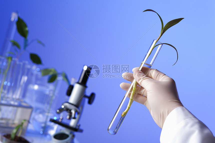 生物工程中的绿色植物科学设备图片