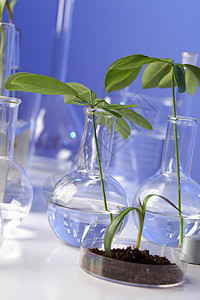 生物工程中的绿色植物科学设备图片