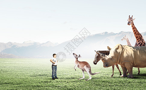 犀牛和斑马生物课上学龄男孩户外与野生动物背景