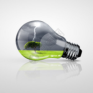 电灯泡的植物绿色能源的象征图片