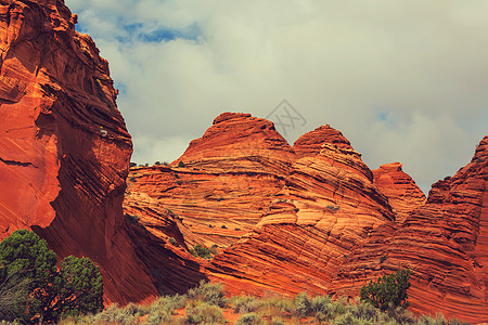 犹他州亚利桑那州Ver百万悬崖荒野地区的郊狼图片