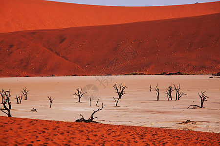 纳米布沙漠的死谷图片