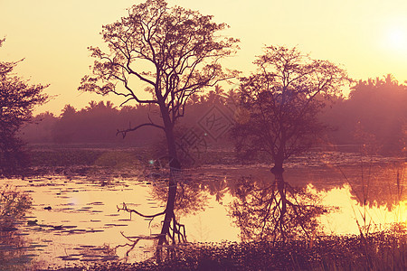 斯里兰卡的日落场景图片