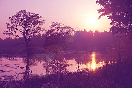斯里兰卡的日落场景图片