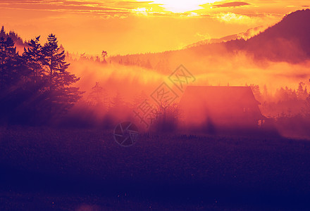 日出时的乡村景观图片