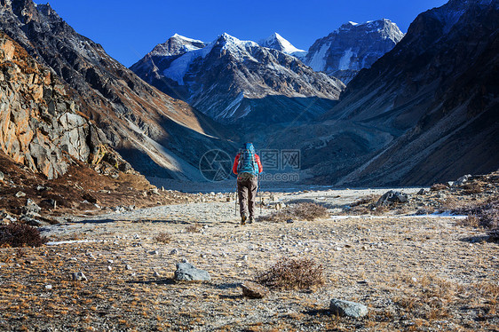 喜马拉雅山的徒步旅行者尼泊尔图片