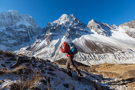 喜马拉雅山的徒步旅行者尼泊尔图片