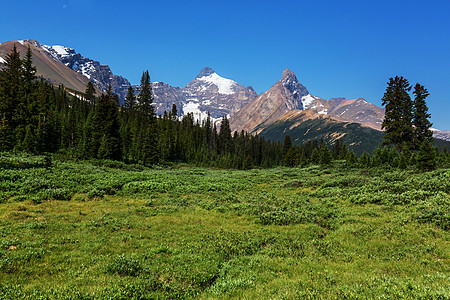 夏天风景如画的加大山脉图片