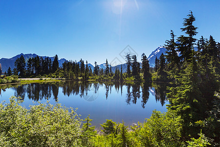 图片湖山树山,华盛顿背景图片