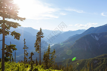 夏天风景如画的加大山脉图片