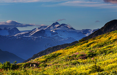 夏天风景如画的加大山脉图片