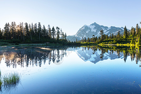 图片湖山树山,华盛顿背景图片