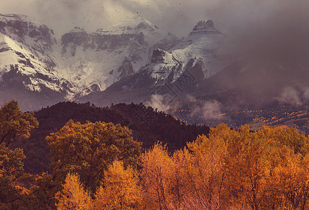 科罗拉多州的秋天图片