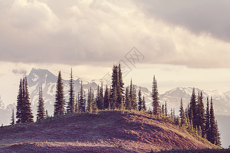 北武当山夏天风景如画的加大山脉背景