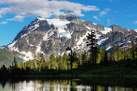 图片湖山树山,华盛顿背景图片