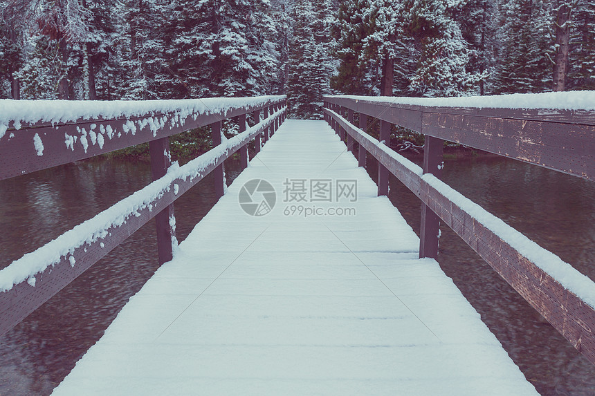 风景秀丽的雪覆盖森林冬季很适合诞节背景图片