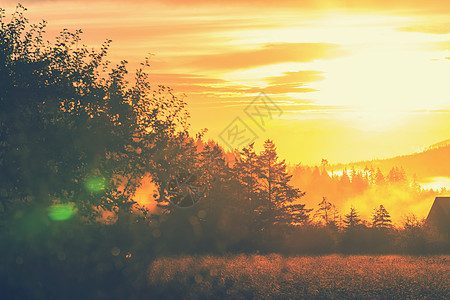 阳光明媚的早晨,雾蒙蒙的草地上光点图片