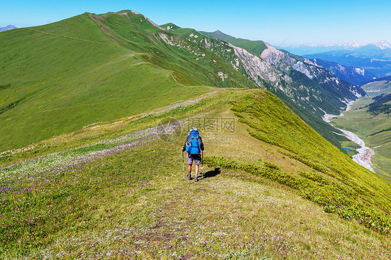 徒步旅行者沿着绿山高加索山脉,斯瓦内蒂,格鲁吉亚夏天的季节图片