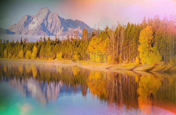 明亮的颜色秋季大提顿公园,怀俄明州,美国图片