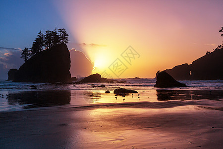 风景优美,严谨的太平洋海岸奥林匹克公园,华盛顿,美国海洋中的岩石海滩上的大原木图片