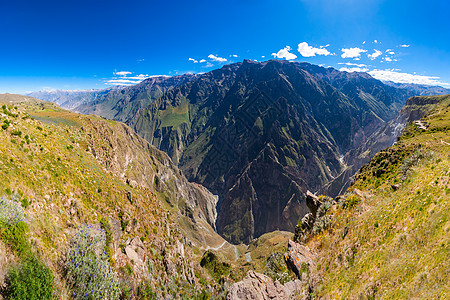 桃花风景科尔卡峡谷秘鲁南部科尔卡河的峡谷背景