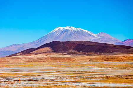 利维亚智利边境的安斯山脉的奥拉格层压火山图片