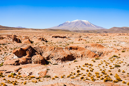 奥利格火山利维亚智利边界上的个巨大的成层火山图片