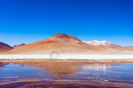 利维亚高原上的美丽湖火山图片