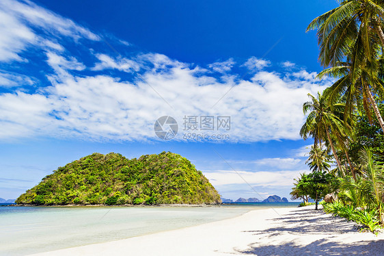 椰子棕榈美丽的海滩上青绿色的水图片