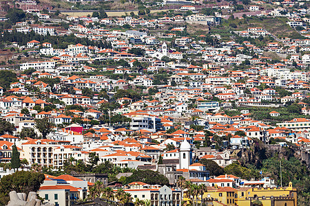 巴塞洛斯观点来看,葡萄牙马德拉岛图片