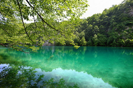 风景如画的湖森林的高山上图片