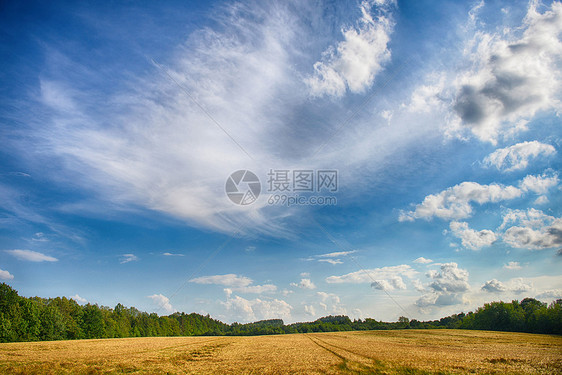 美丽的天空下云的田野图片