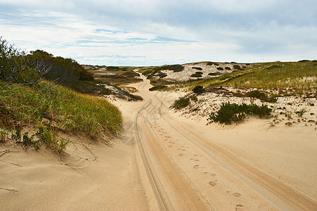 美国马萨诸塞州科德角沙丘中的道路图片