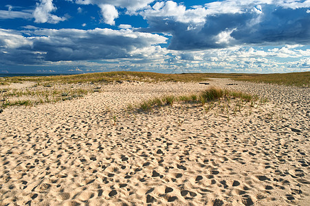 美国马萨诸塞州科德角的沙丘图片