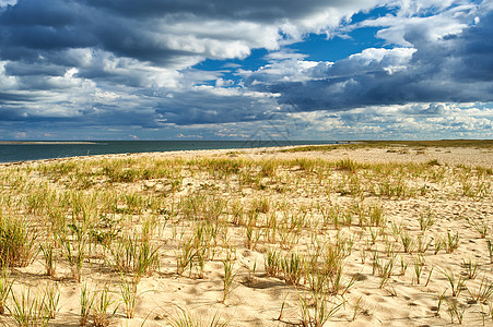 美国马萨诸塞州科德角的沙丘图片